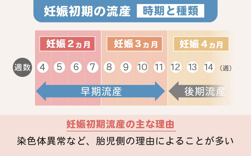 妊娠初期の流産・時期と種類について