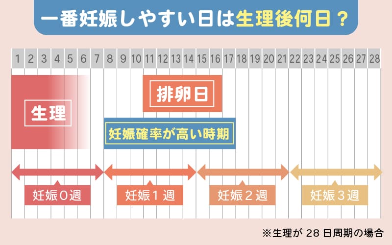 一番妊娠しやすい日は生理後何日？